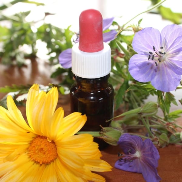homeopathy1